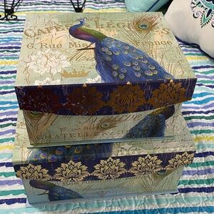 Set of 2 Nesting Peacock Decorative Storage Boxes
